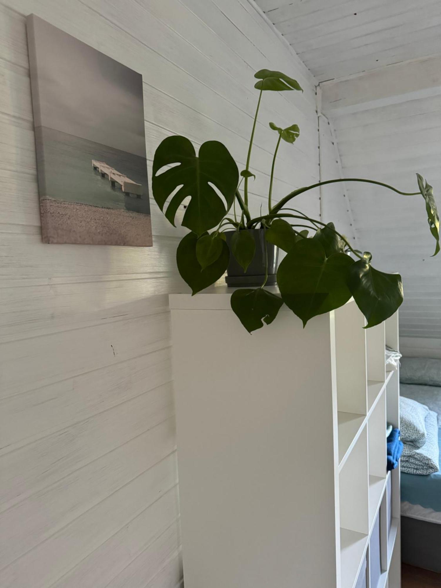 48C Domki Letniskowe I Apartament Pobierowo Extérieur photo