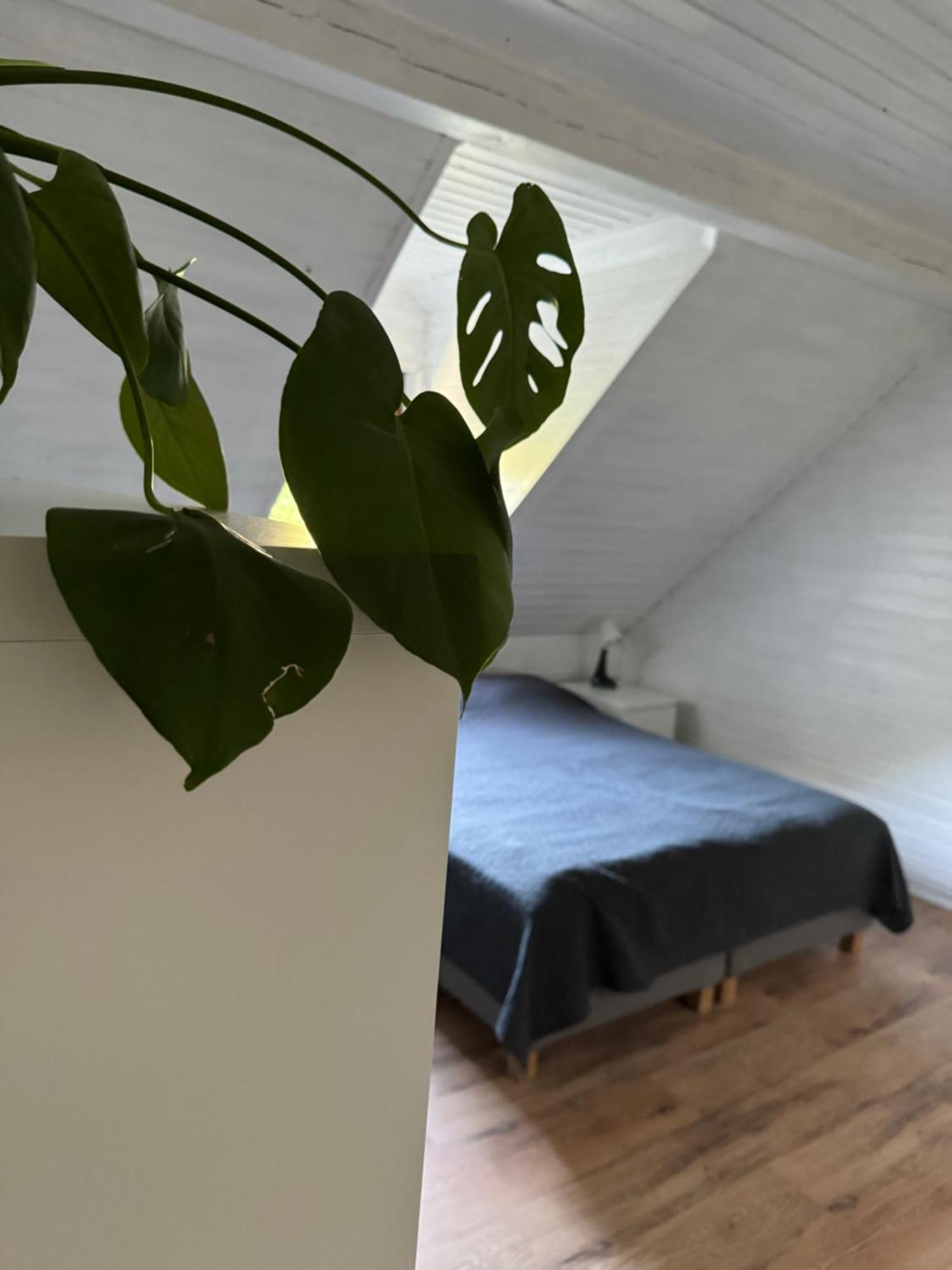 48C Domki Letniskowe I Apartament Pobierowo Extérieur photo